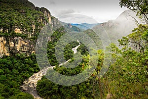 INto the forest I go