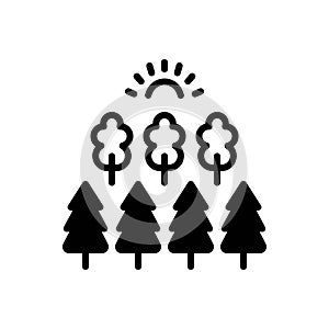 Black solid icon for Forest, eco and ecology