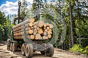 Forest industry. Truck loading wood in the forest. Loading logs onto a logging truck. Portable crane on a logging truck
