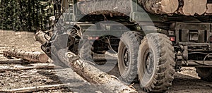 Forest industry. Truck loading wood in the forest. Loading logs onto a logging truck. Portable crane on a logging truck