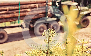 Forest industry. Truck loading wood in the forest. Loading logs onto a logging truck. Portable crane on a logging truck