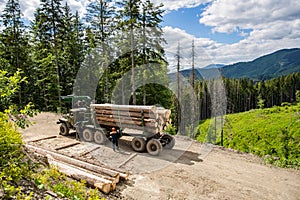 Forest industry. Wheel-mounted loader, timber grab. Felling of trees,cut trees , forest cutting area, forest protection