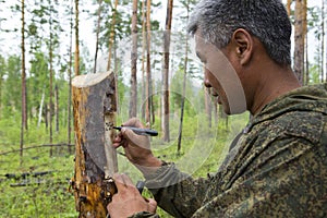 Forest inspectors work in the forest.