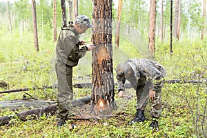 Forest inspectors work in the forest.