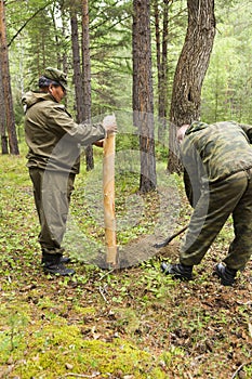 Forest inspectors work in the forest.