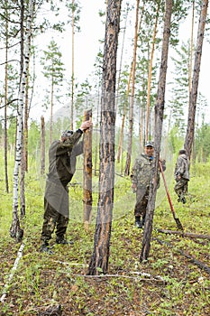 Forest inspectors work in the forest.