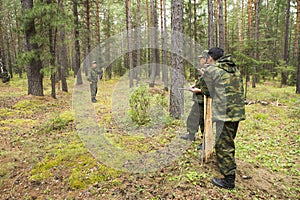Forest inspectors work in the forest
