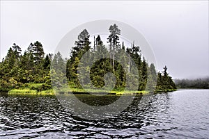 Forest island in Lake, Alaska