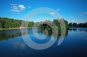 Forest island at river park background