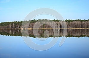 Forest and its reflection in river in spring day