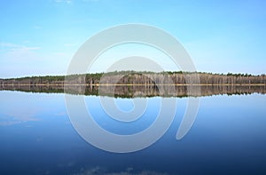 Forest and its reflection in river in spring day
