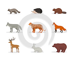 Forest and jungle animals vector illustration set isolated on white background