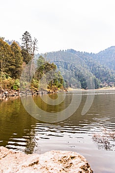 Lake in the forest panoramic view photo