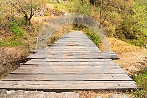 Wooden bridge in the forest photo