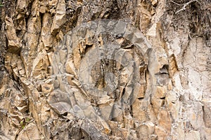 Stone wall in the woods photo