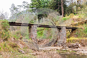 Bridge in the woods photo
