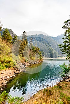 Lake in the forest panoramic view photo