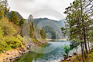 Lake in the forest panoramic view photo