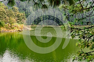 Lake in the forest panoramic view photo