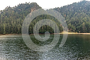 Lake in the forest panoramic view photo