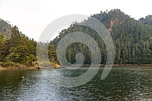 Lake in the forest panoramic view photo