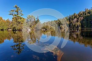 Forest lake in Algonquin Provincial Park, Ontario, Canada