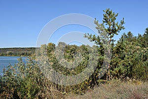 Forest lake in the autumn afternoon. Calm water with reflection of trees