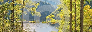 Forest Lake. Autumn landscape, sunny day. Taiga, Siberia