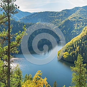 Forest Lake. Autumn landscape, sunny day. Taiga, Siberia