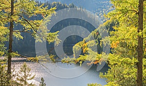 Forest Lake. Autumn landscape, sunny day. Taiga, Siberia