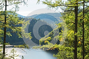 Forest Lake. Autumn, sunny day. Taiga, a wild place in Siberia