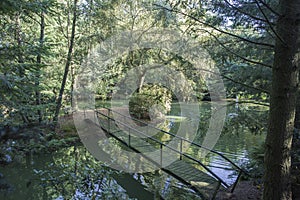 Forest lake with bridge and wooden bench in the spring