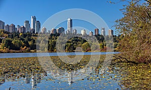 Forest lake in Burnaby City