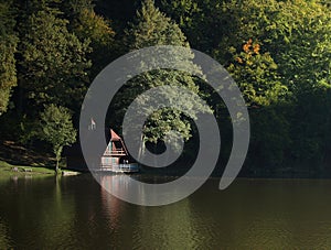 Forest lake and cottage