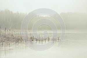 Forest lake covered with thick morning mist