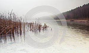 Forest lake covered with thick morning mist