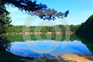 Forest lake with emerald water. Beautiful lake panorama