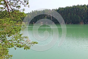 Forest lake with emerald water. Beautiful lake panorama