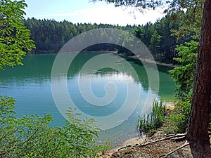 Forest lake with emerald water. Beautiful water panorama