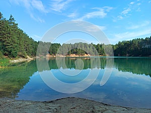 Forest lake with emerald water. Beautiful water panorama