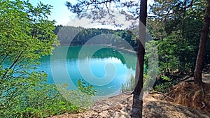 Forest lake with emerald water. Beautiful water panorama