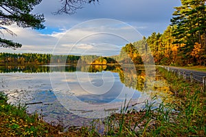 Forest Lake in Fall