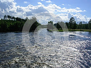 Forest and lake in Gotemburg Sweden