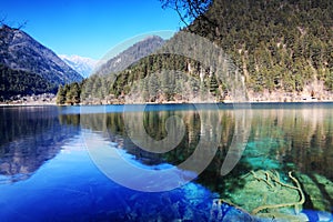 Forest and lake jiuzhai