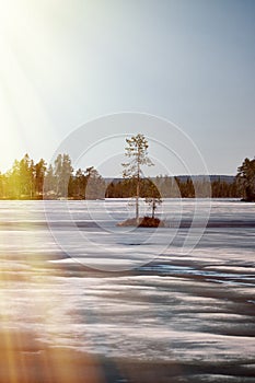 Forest lake in Lapland and the sun's rays in spring