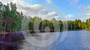 Forest Lake in the Leningrad region.