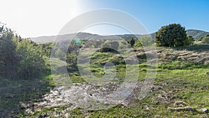 Forest lake and mountain background