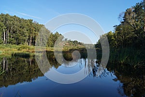 Forest lake in the Nature reserve Fischbeker Heide, Hamburg â€“ Germany