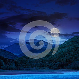 Forest and lake near the mountain at night