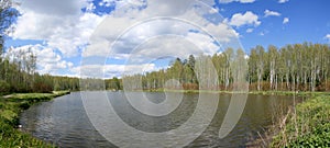 Forest lake panorama